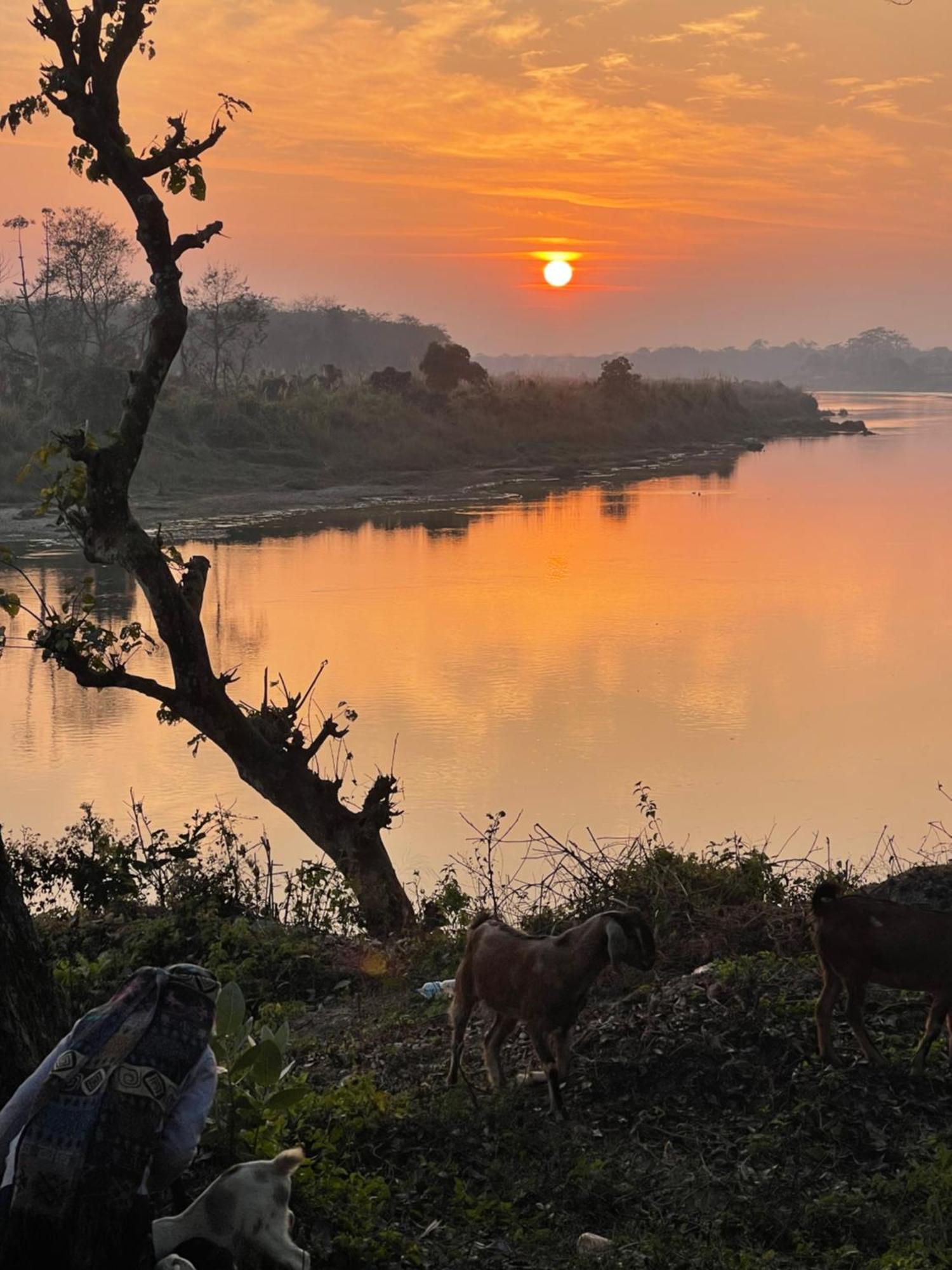 Chitwan Riverside Resort Саураха Экстерьер фото